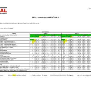 Raport zaawansowania prac